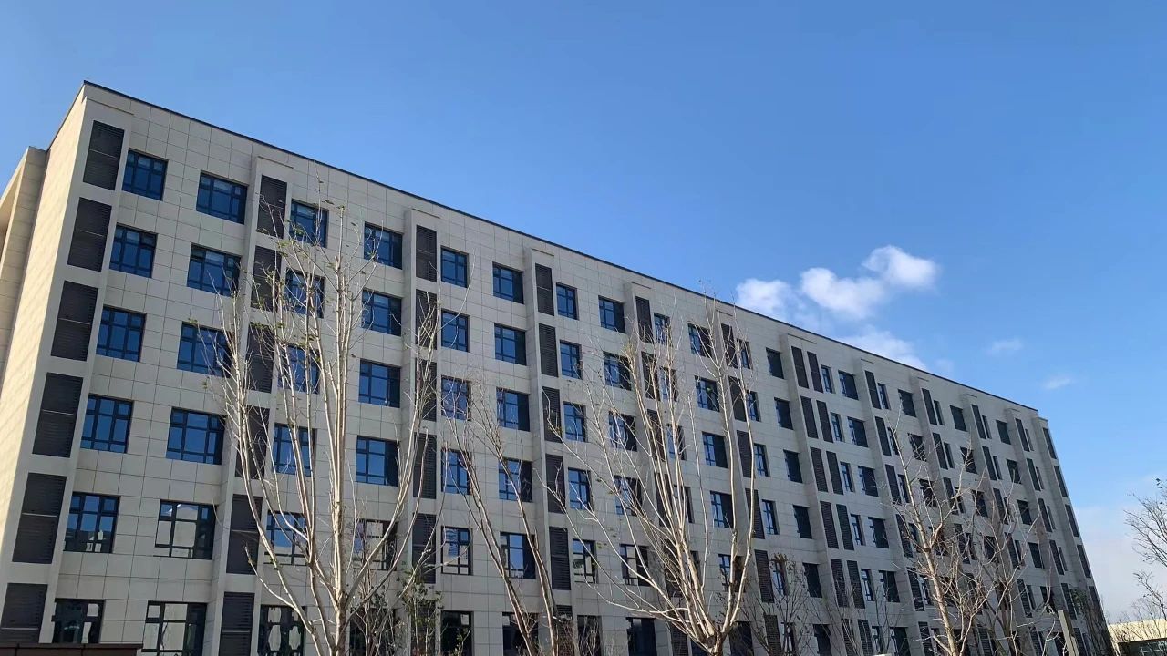 05.jpg